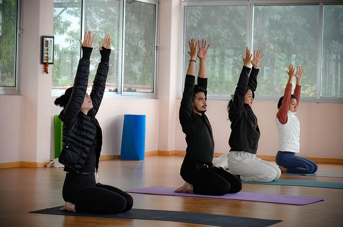Ghorepani Ghandruk Wellness Yoga Trek - Food, Lodging, and Gear: The Details That Save You Energy