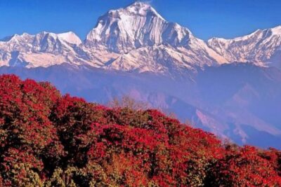 Ghorepani Poonhill Trek -8 Days - Day 1 in Kathmandu: Get Oriented Without Wasting Energy