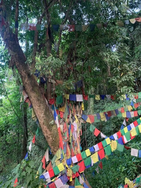 Healing Day tour - Shaman Healing - Should you book it?