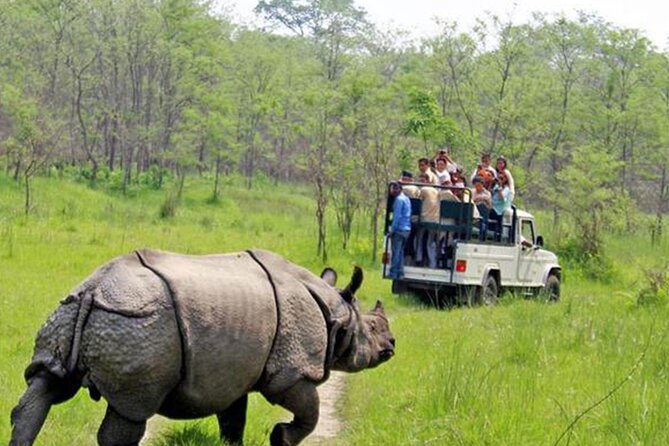 Kathmandu 2 Nights 3 Days Chitwan Jungle Safari Tour - Key highlights to look forward to