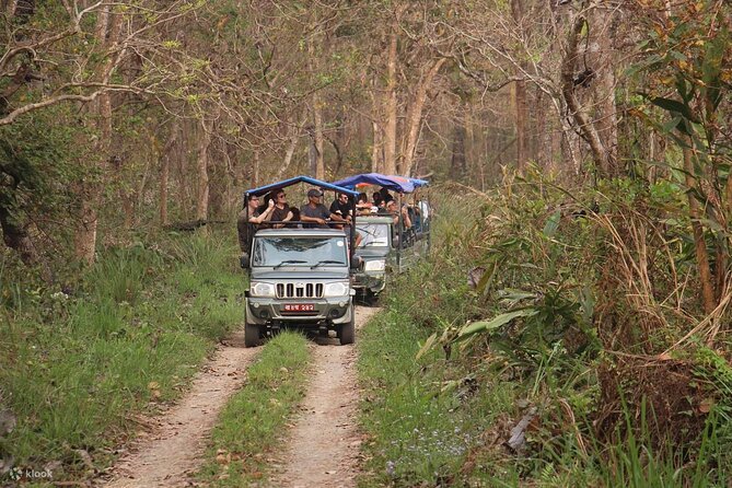 Kathmandu 2 Nights 3 Days Chitwan Jungle Safari Tour - Tharu village and dance: more than a checkbox stop