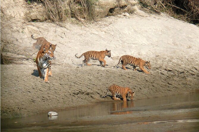Kathmandu 2 Nights 3 Days Chitwan Jungle Safari Tour - Group size and timing: the “feel” of the tour