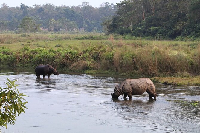 Kathmandu 2 Nights 3 Days Chitwan Jungle Safari Tour - Day 2: sharing jungle jeep safari, birds, and the Rapti canoe