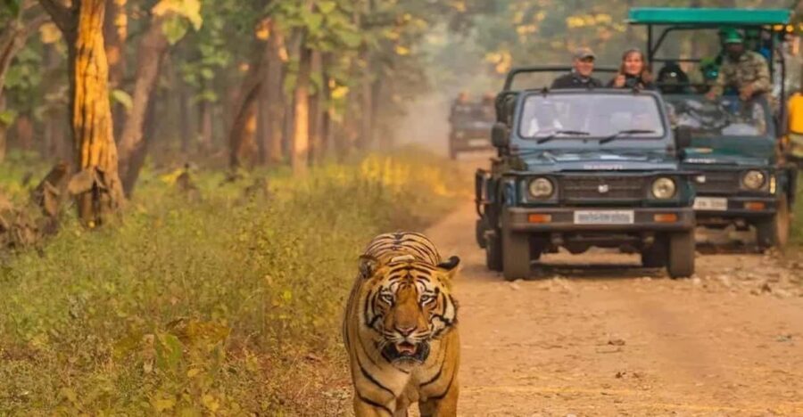 Kathmandu: 4-Day Private Chitwan National Park Safari Tour - Key highlights I’d plan around
