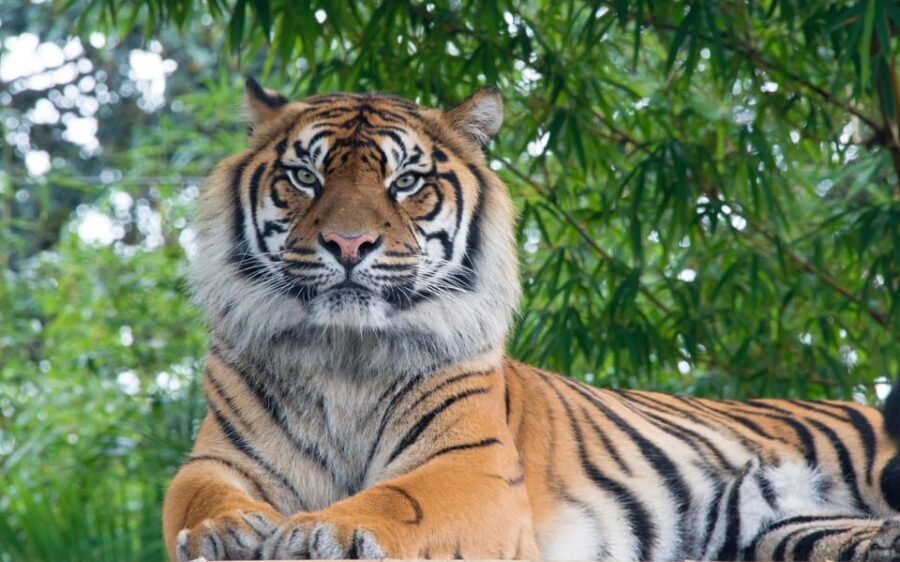 Kathmandu: 4-Day Private Chitwan National Park Safari Tour - Price and Value: Is $202 a Fair Deal?