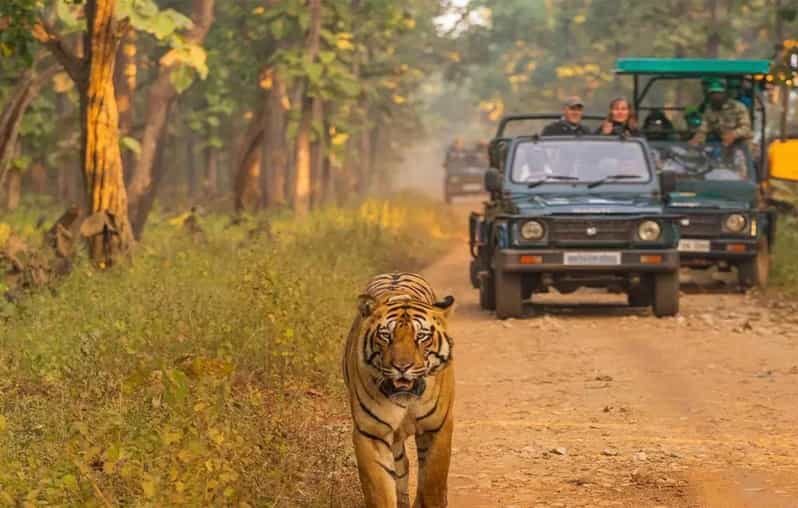 Kathmandu: 4-Day Private Chitwan National Park Safari Tour - Rapti River Canoe Ride + Elephant Breeding Center: Slower, Smarter, Memorable
