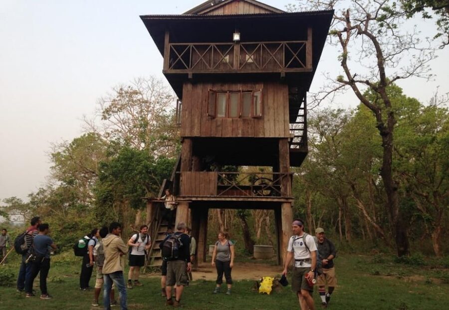 Kathmandu: 4-Day Private Chitwan National Park Safari Tour - Day 4 Morning Nature Walk and the Ride Home