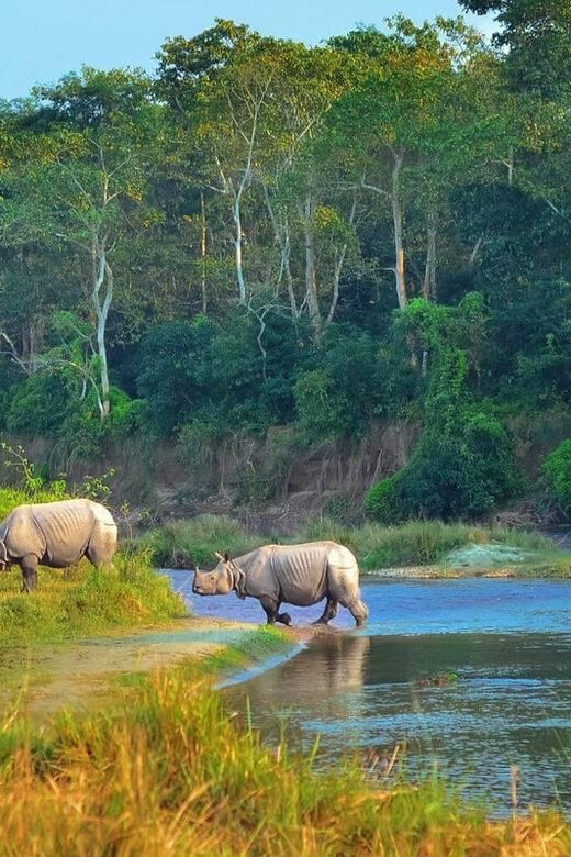 Kathmandu: 4-Day Private Chitwan National Park Safari Tour - Comfort, Food, and Service: Where This Trip Wins