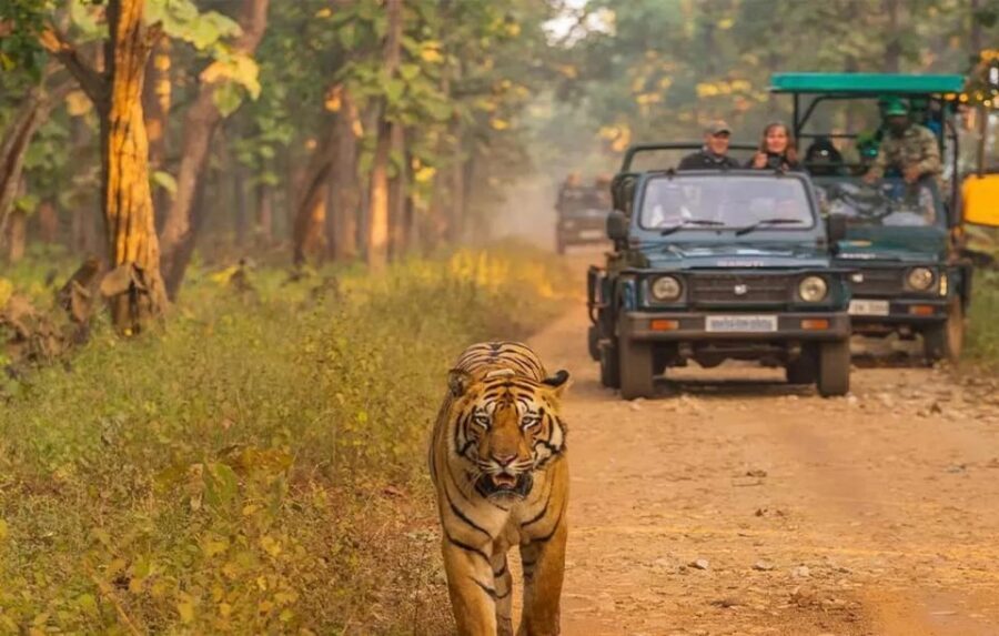 Kathmandu: 4-Day Private Chitwan National Park Safari Tour - From Kathmandu to Chitwan by Tourist Bus: The Road Part You Can Manage