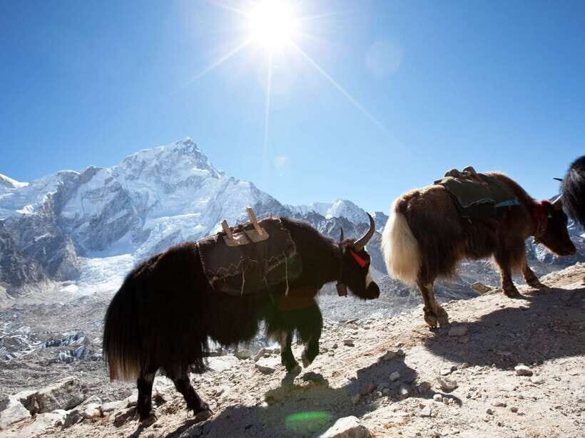 Kathmandu: 6 Days Langtang Valley Trek with Kyanjin Ri - Why Langtang Valley feels like a smarter Himalayan trek