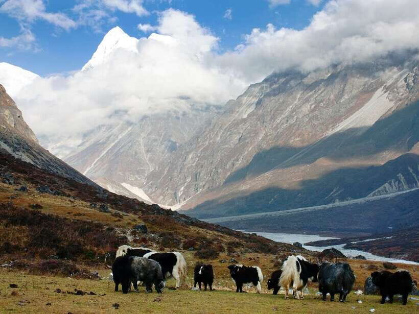 Kathmandu: 6 Days Langtang Valley Trek with Kyanjin Ri - Gear, altitude, and how to stay comfortable on real mountain days