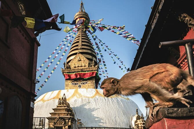 Kathmandu Bhaktapur Patan Authentic Local Tour +7 UNESCO WH Sites - What makes this Kathmandu Valley tour feel different
