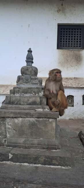 Kathmandu: Chandragiri cable car & Swayambhunath Tour - So should you book this Kathmandu day trip?