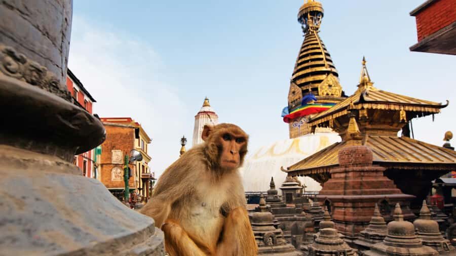 Kathmandu: Full-Day Budget Bus Tour of Kathmandu Valley - A Budget Bus Pass Through Kathmandu Valley’s Five Big Stops