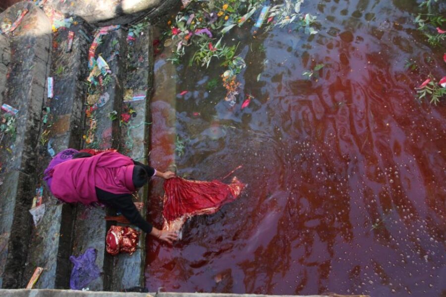 Kathmandu: Pharping, Dakshinkali and Chobhar Tour with Lunch - Dakshinkali Temple: a powerful stop that needs emotional readiness