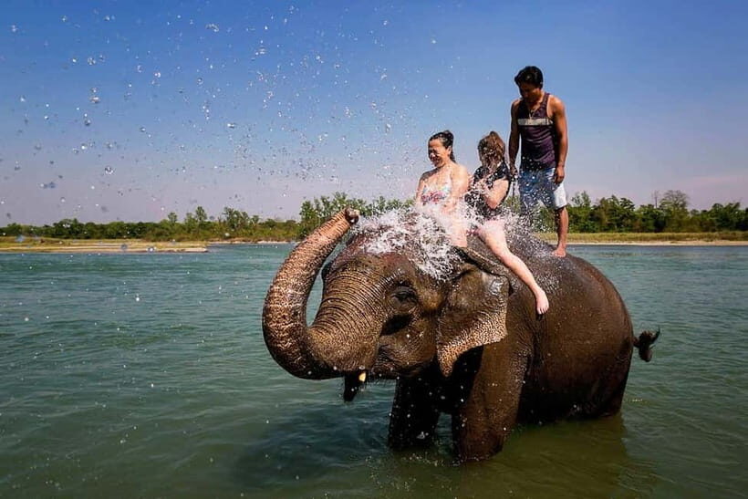 Kathmandu/Pokhara: 3 Day Chitwan Jungle Safari Tour - Day 2: Rapti canoe ride, birding, elephant breeding center, then jeep safari