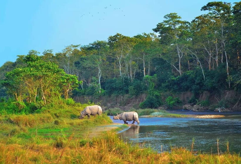 Kathmandu/Pokhara: 3 Day Chitwan Jungle Safari Tour - Getting to Chitwan from Pokhara or Kathmandu (and what to do with the travel time)