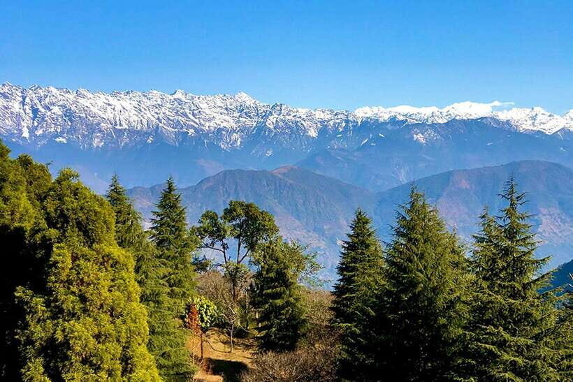 Kathmandu: Shivapuri Day Hike with Lunch - Inside Shivapuri National Park: Steps, Bamboo, Birds, and Waterfall Breaks