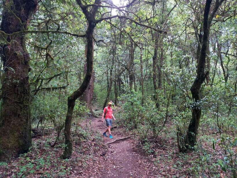Kathmandu: Shivapuri Day Hike with Lunch - Budhanilkantha and the Temple Area: A Cultural Finish to the Day
