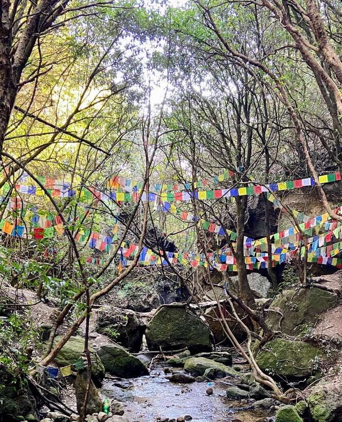 Kathmandu: Shivapuri Hill Day Hike with Lunch box - Shivapuri National Park: Why This Day Hike Works From Kathmandu