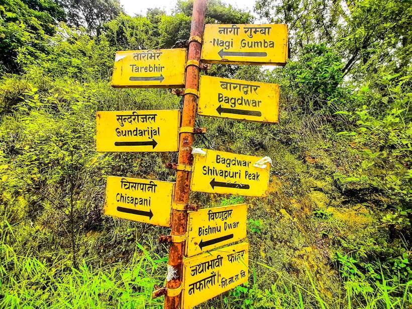 Kathmandu: Shivapuri Hill Day Hike with Lunch box - Getting Started in Thamel: Pickup, Timing, and a Smooth Start