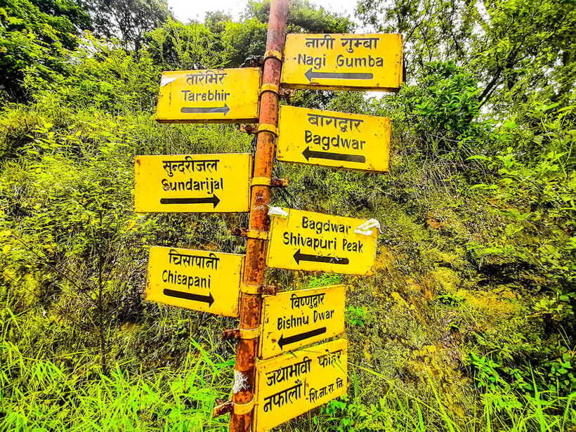 Kathmandu: Shivapuri Hill Day Hike with Lunch box - Price and Value: Is $70 Worth It for This Kind of Day?