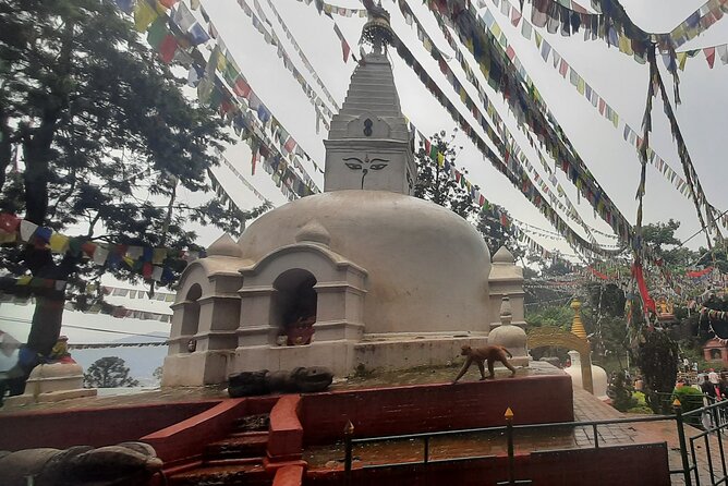 Kathmandu Top 4 or 2 UNESCO World Heritage Sites Day Tour - Why this Kathmandu Valley UNESCO circuit feels easier than DIY