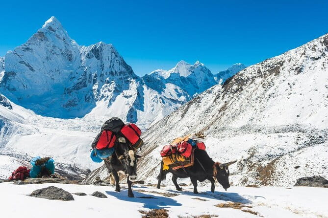 Langtang Valley Trek from Kathmandu - What’s included (and what you’ll pay extra) in this $1,110 package