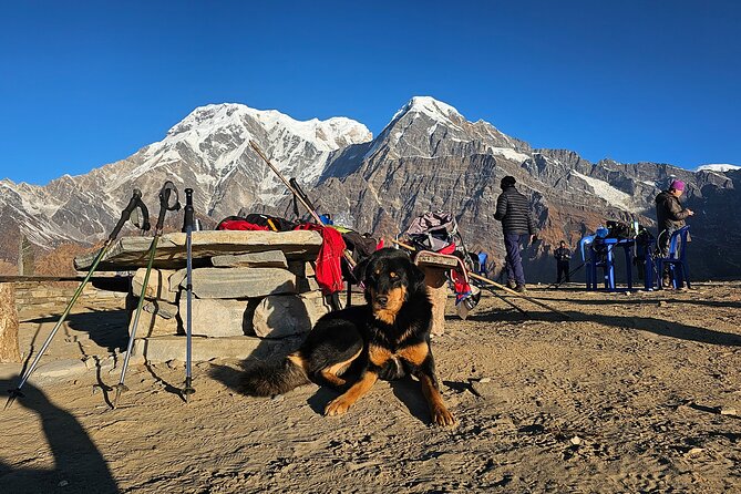 Mardi Himal Trek - The day that earns the whole trek: Mardi Base Camp at about 4500m