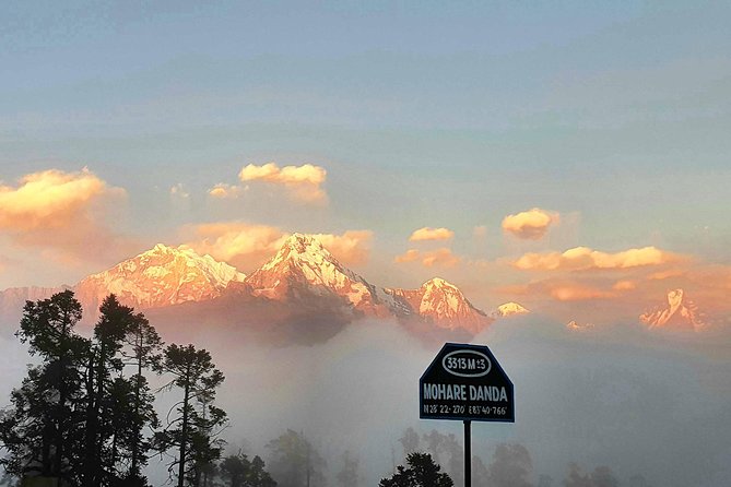 Mohare Danda Trek - Who this trek suits best (and who should rethink it)
