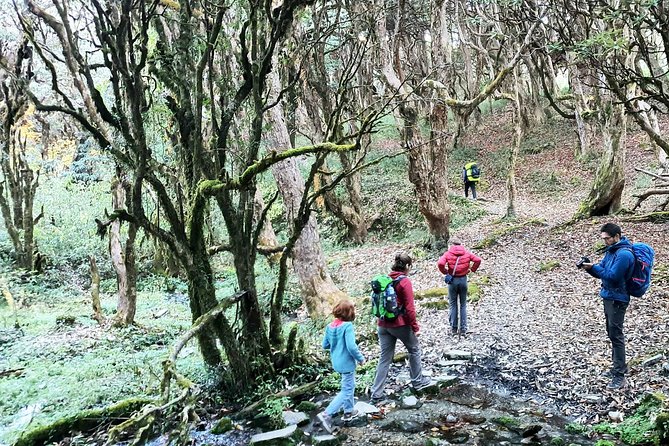 Mohare Danda Trek - Day 3: Beni Bazaar start and the first trekking rhythm