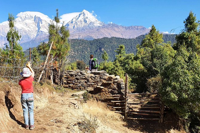 Mohare Danda Trek - Day 5: trekking up to Mohare Danda (from Nagi)
