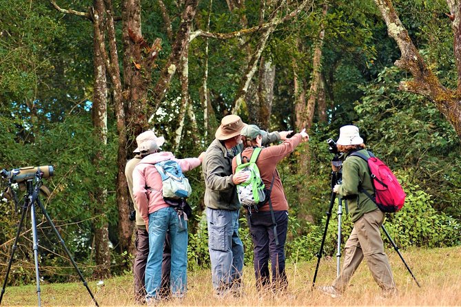 Nepal Birding - Price and time: is $225 worth it for a private birding day?