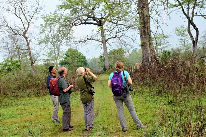 Nepal Birding - What to bring for a Himalayan-edge birding hike