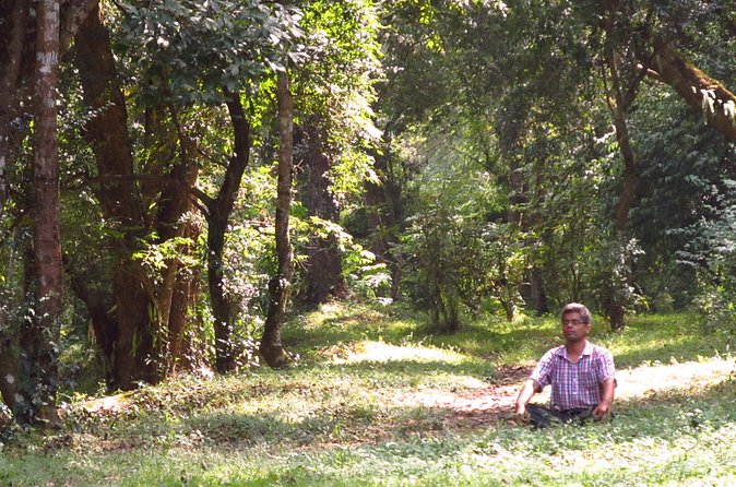 Pharping Asura Cave Meditation Tour - Price and value: why $60 can make sense for Kathmandu