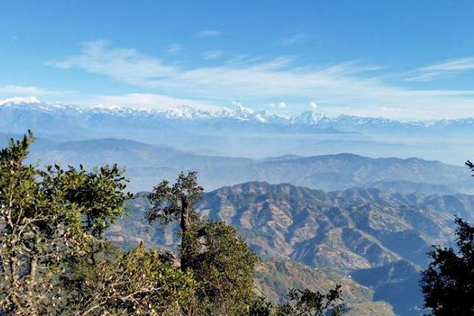 Phulchoki bird-watching tour - Price and value: what $324 buys you for a day trip