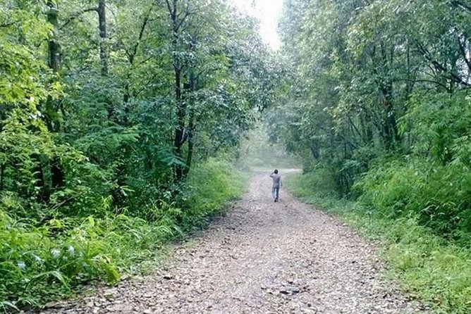 Phulchoki bird-watching tour - Spotting birds on Phulchoki: from forest specialties to hilltop visitors