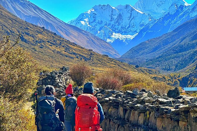 Private 8 - Day Langtang Trekking - Day 6 and 7: back down through rhododendron forests to Lama Hotel and Syafrubesi