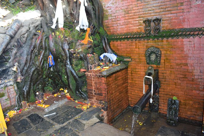 Private Half Day Budhanilkantha Tour - Timing: how to fit 2–3 hours into a Kathmandu day