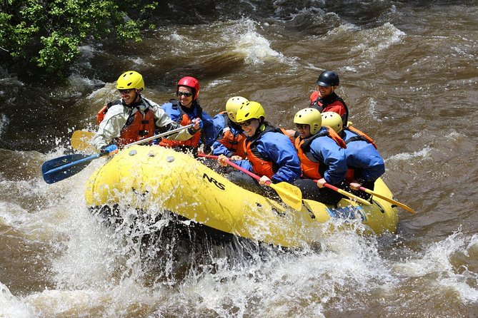 Rafting Tour In Trishuli river - Safety and gear: what’s included, what you should think about