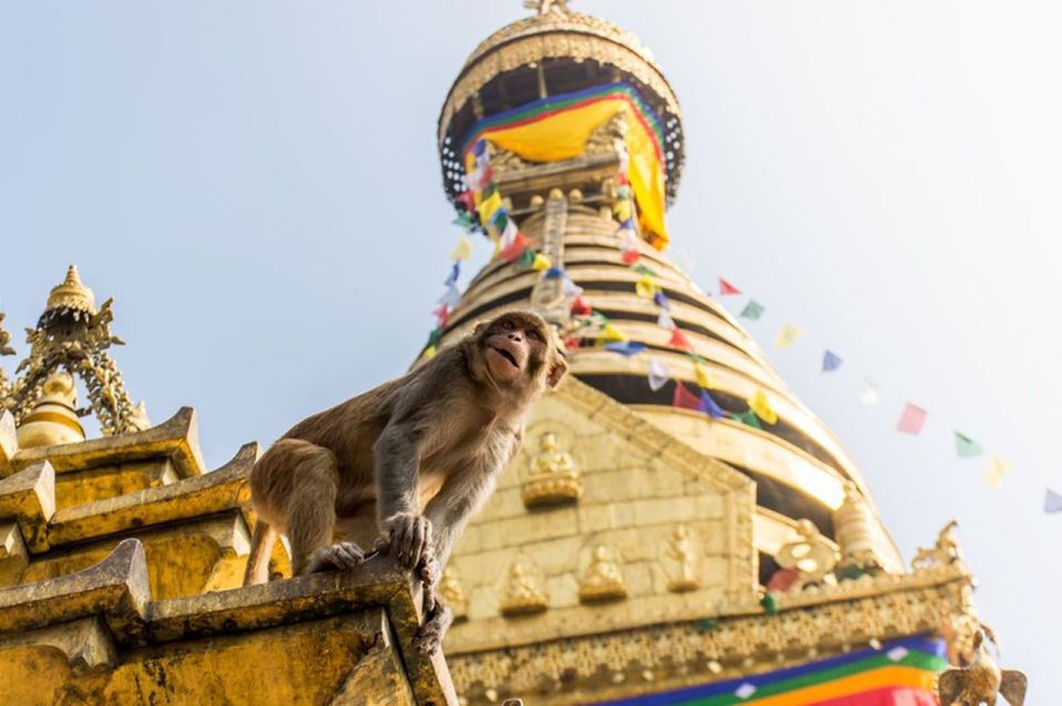 Spiritual Nepal: Expert insight into Multifaith Journey - Aarati at Pashupatinath: the light offering moment