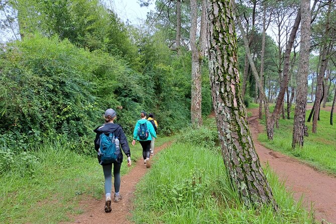 The Most Beautiful 1 Day Experience in Kathmandu Nepal - What to consider: weather, an early start, and how much walking you want